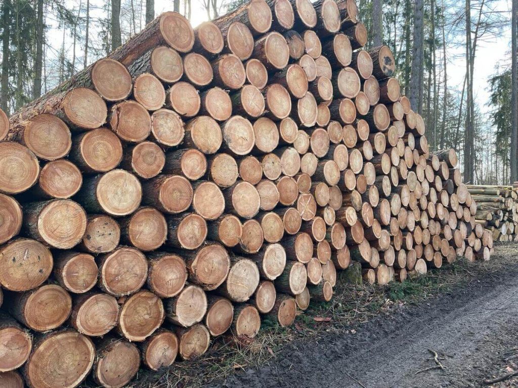 Prodej dříví